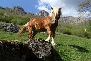 126 Uno sguardo dice molto...